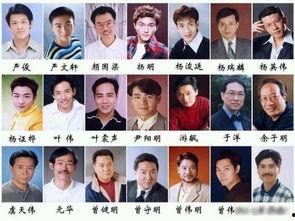 电视剧明星男演员 名字,揭秘电视剧界当红男演员的辉煌之路
