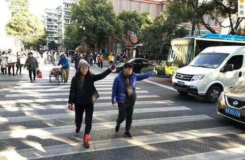 肥乡头条不礼让行人图片,文明交通亟待加强