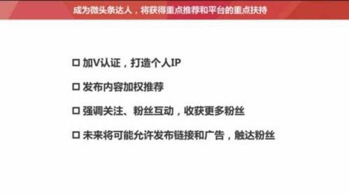 怎么清掉自己的头条粉丝,教你如何巧妙清空自己的今日头条粉丝