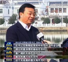 武汉桃源新闻头条,最新动态聚焦社区发展盛况