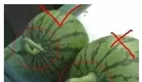 半夜吃瓜有危害吗,揭秘熬夜追剧的危害与影响