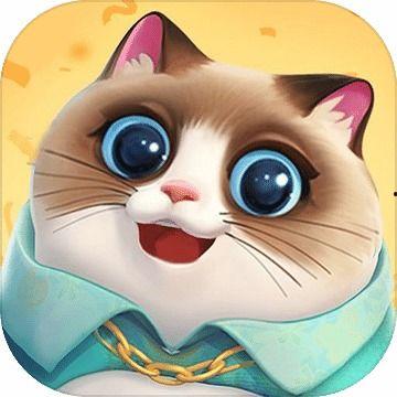 网红撸猫馆客服,猫咪乐园的温馨日常与互动体验