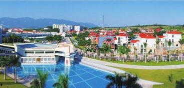 阜阳马塘镇新闻头条,聚焦乡村振兴新篇章